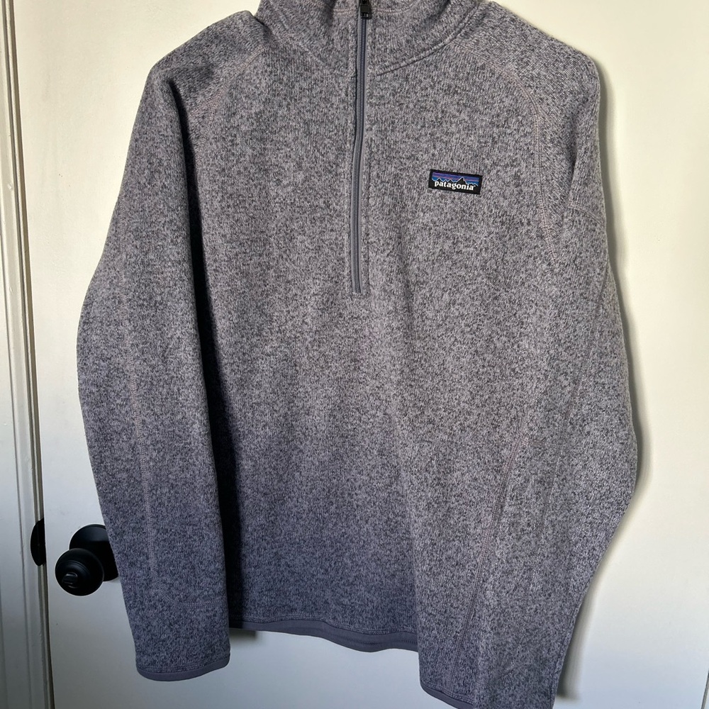 Patagonia Gray/Purple Women's Hoodie